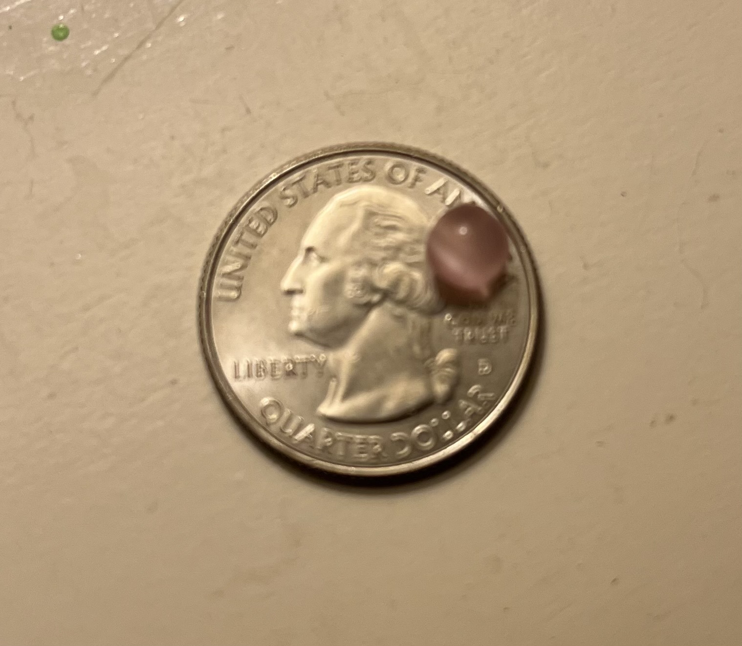 Pink Earrings